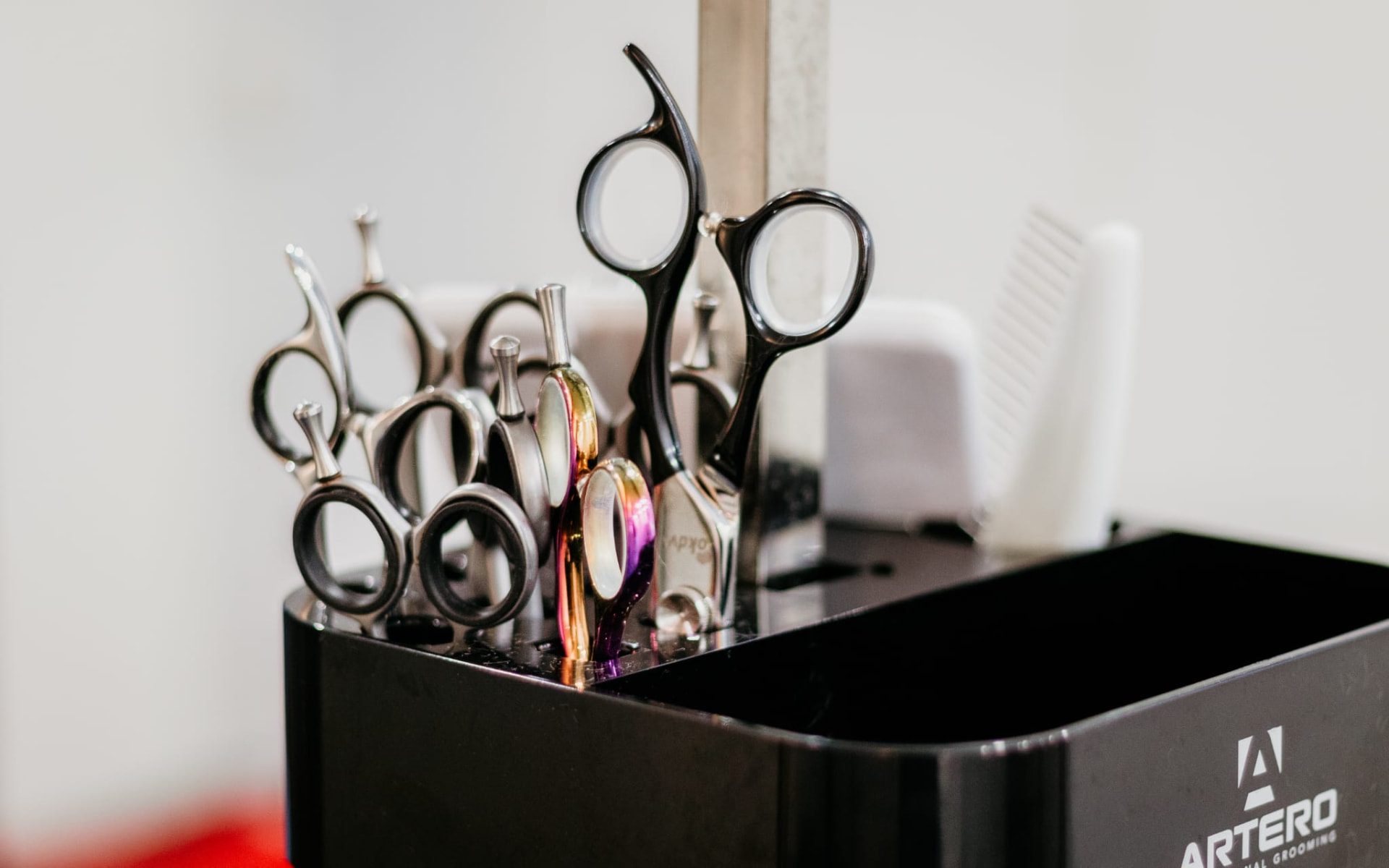 Knippen bij Hondentrimsalon Jasmijn Hattem